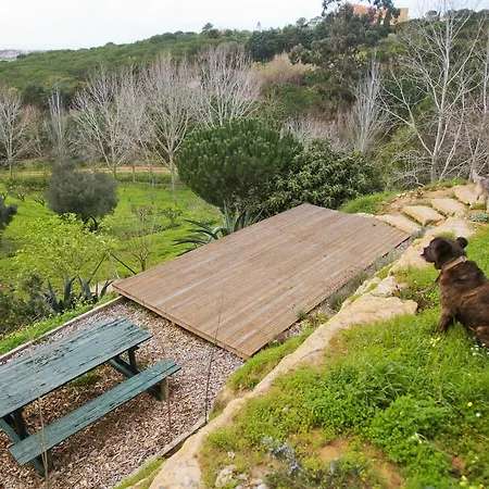 Holiday home O Vale *