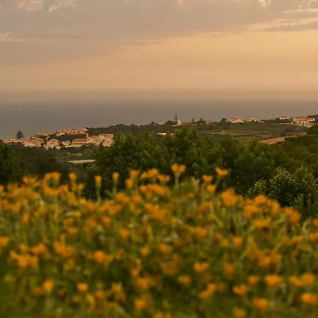 O Vale Ericeira