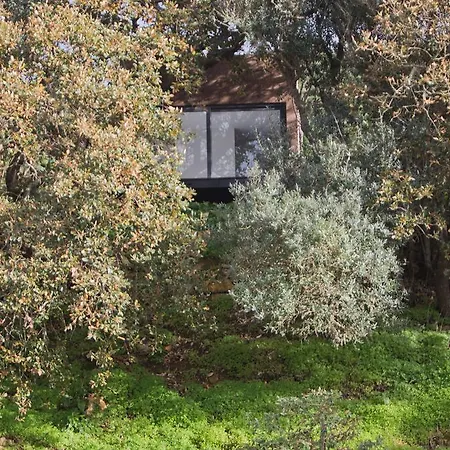 Casa de Férias O Vale *