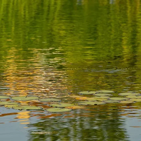 O Vale * エリセイラ