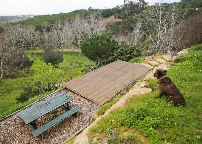 Σπίτι διακοπών O Vale *